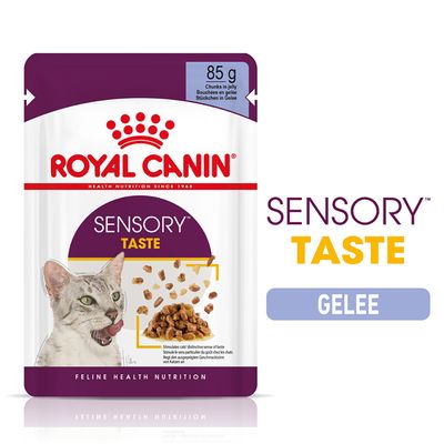 Royal Canin Sensory Taste In Gelatina
