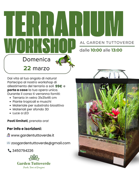 Terrarium WorkShop