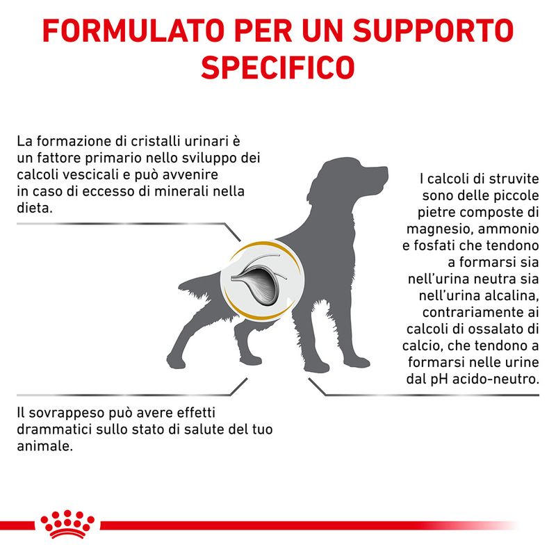 Royal Canin V-Diet Urinary U/C