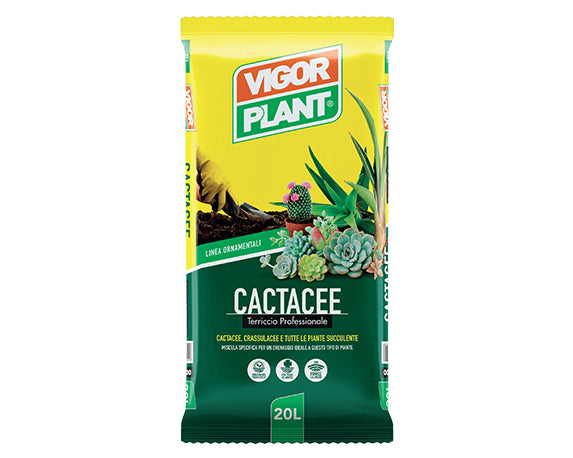 Vigorplant Cactacee 20 Lt