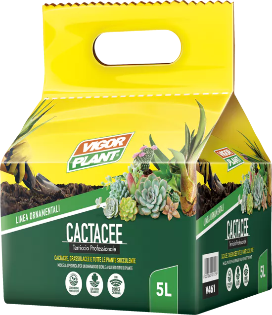 Vigorplant Cactacee 5 Lt