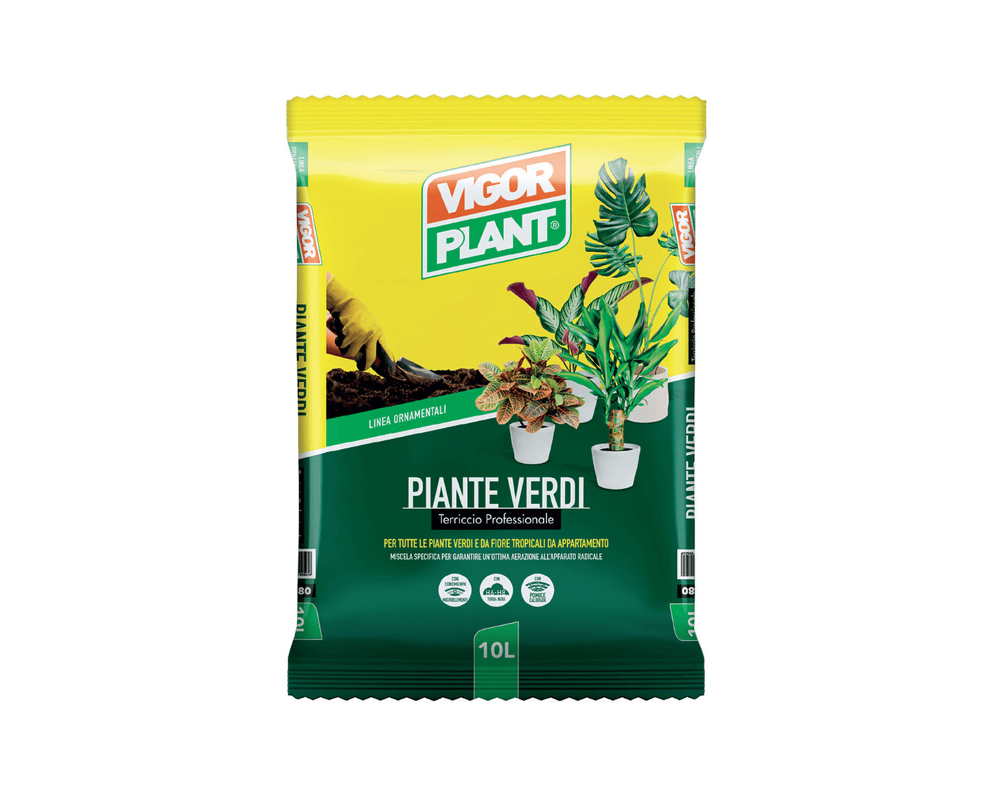 Vigorplant Piante Verdi 10 Lt