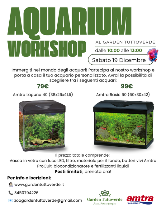 Aquarium Workshop