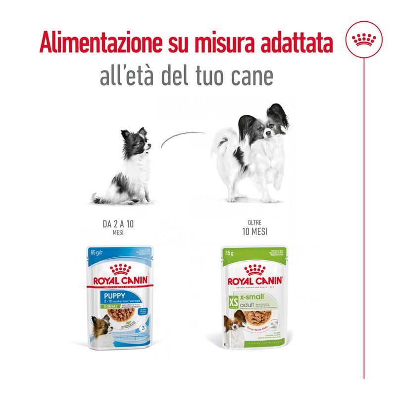 Royal Canin Xsmall Adult