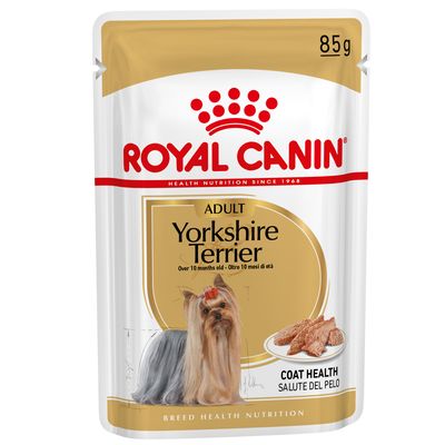 Royal Canin Yorkshire