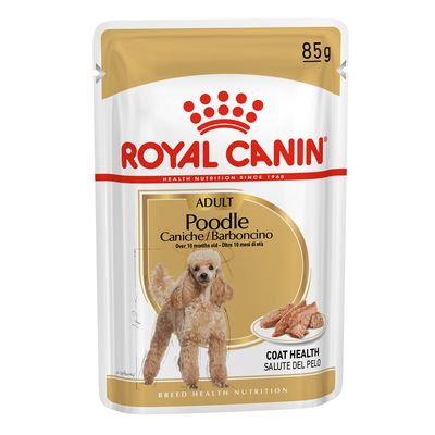 Royal Canin Barboncino