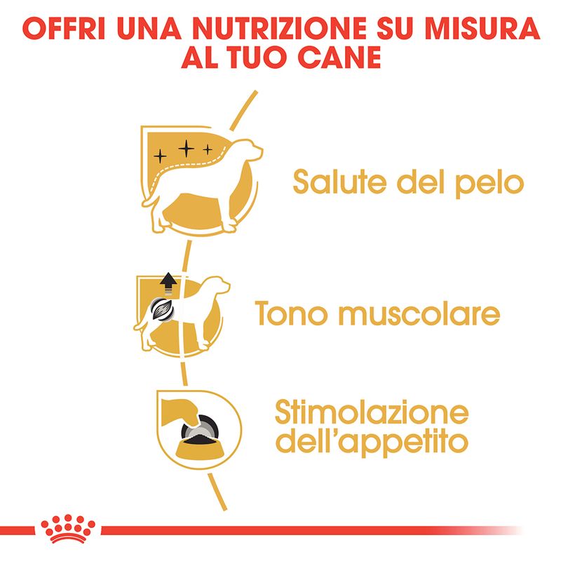 Royal Canin Barboncino