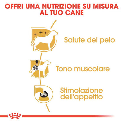 Royal Canin Barboncino