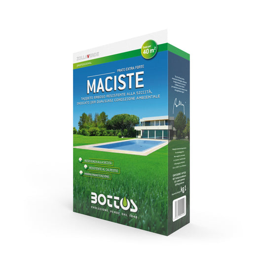 Seme Maciste 1kg