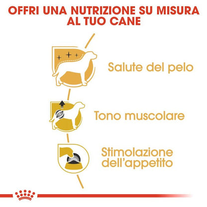 Royal canin