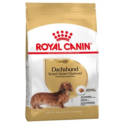 Royal Canin Bassotto (Dachshund) Adult