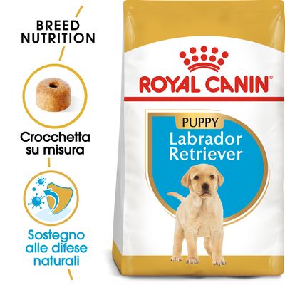Royal Canin Labrador Retriever Puppy