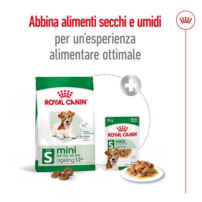 Royal Canin Mini Ageing 12+