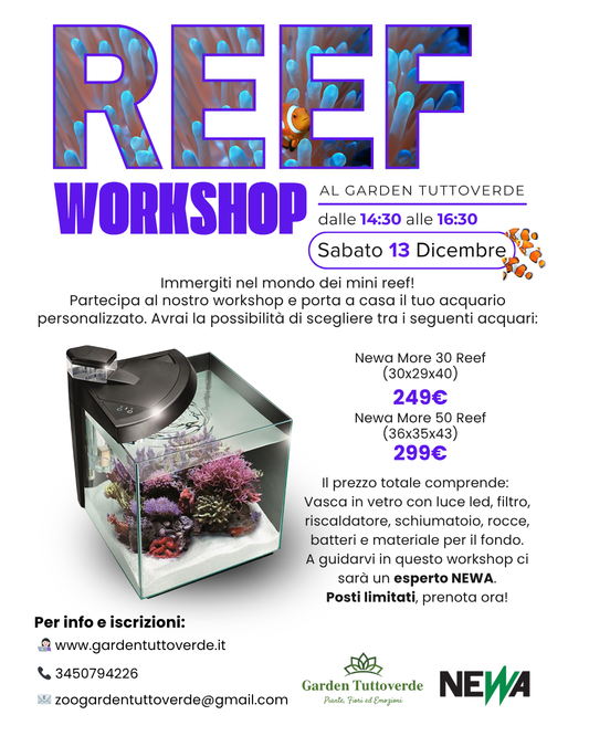 Reef Workshop