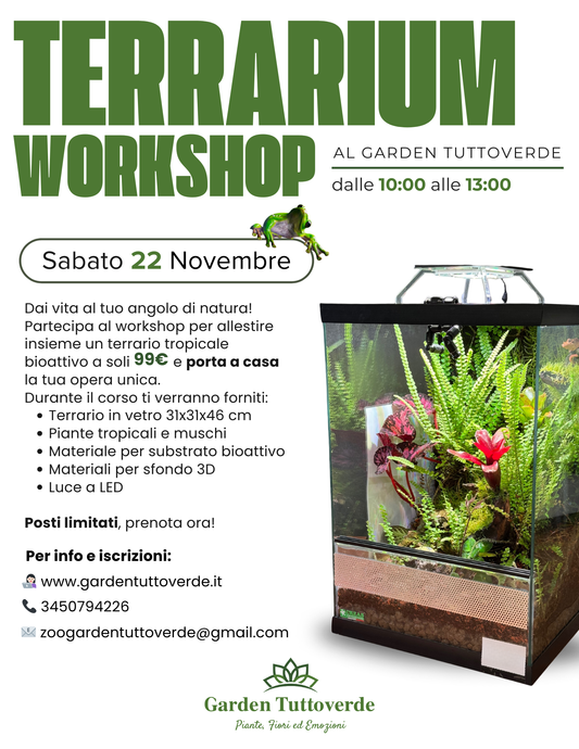 Terrarium WorkShop