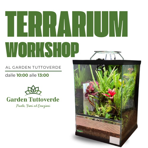 Terrarium WorkShop