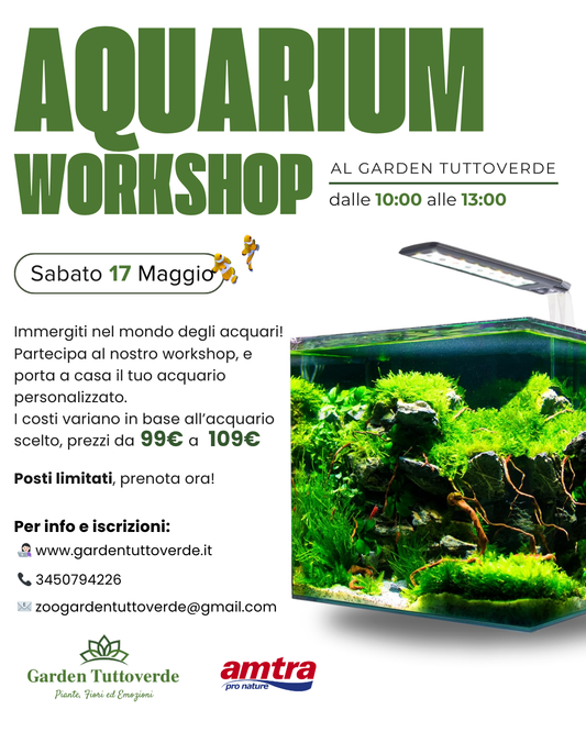 Aquarium Workshop